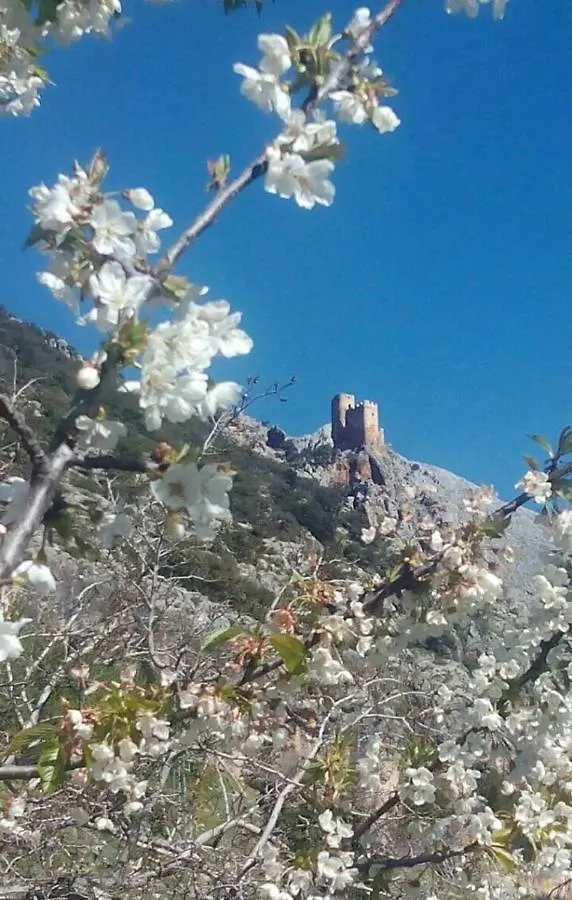 Casa La Oliva Villa Albanchez de Ubeda
